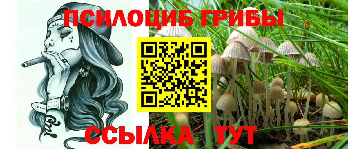 Псилоцибиновые грибы ЛСД  Вход с VPN  Псилоцибиновые грибы MAGIC MUSHROOMS  купить закладку  Избербаш 