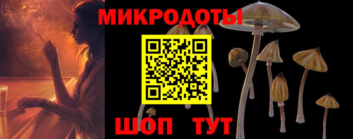 Галлюциногенные грибы Magic Shrooms Избербаш